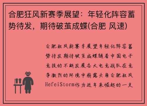 合肥狂风新赛季展望：年轻化阵容蓄势待发，期待破茧成蝶(合肥 风速)